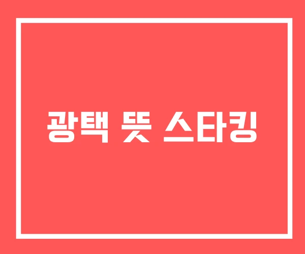 광택 뜻 스타킹