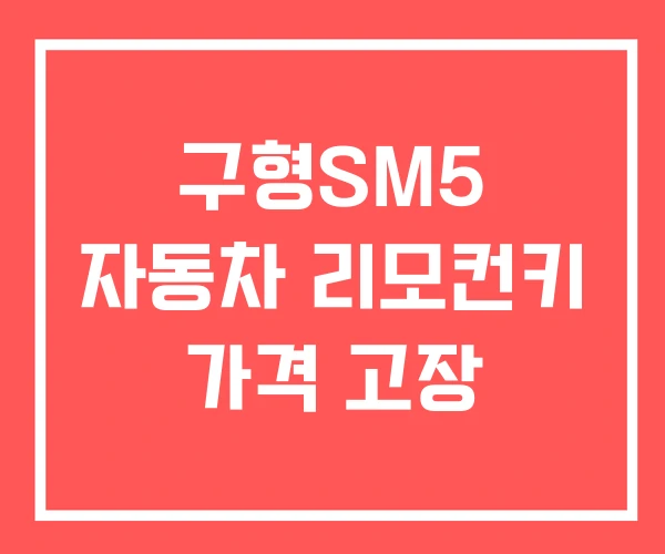 구형SM5 자동차 리모컨키 가격 고장 구형SM5 자동차 리모컨키 가격 고장