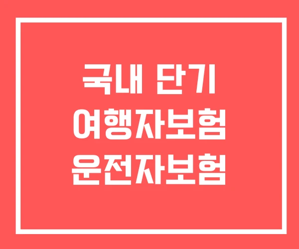 국내 단기 여행자보험 운전자보험