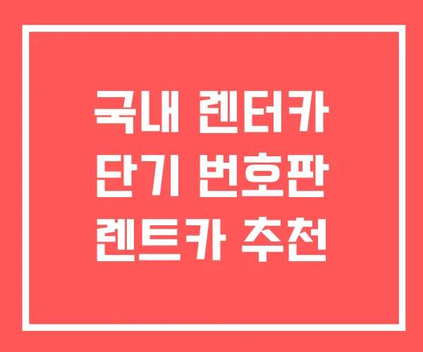국내 렌터카 단기 번호판 렌트카 추천