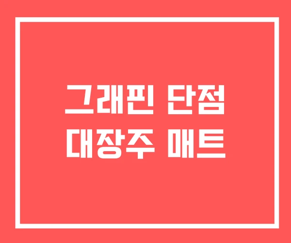 그래핀 단점 대장주 매트 그래핀 단점 대장주 매트