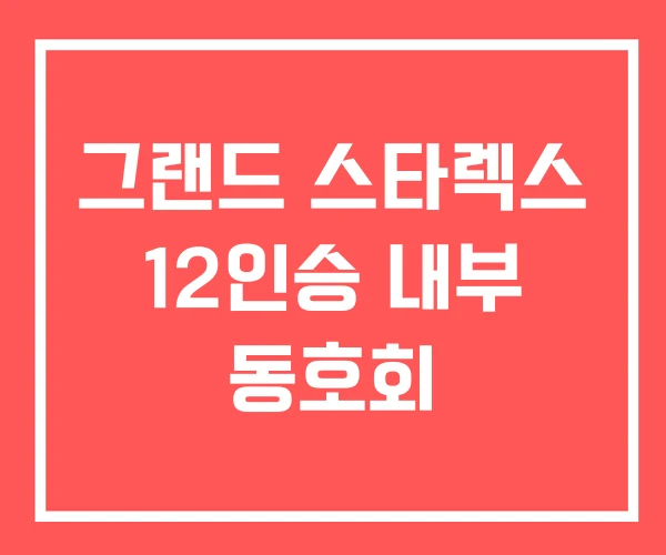 그랜드 스타렉스 12인승 내부 동호회