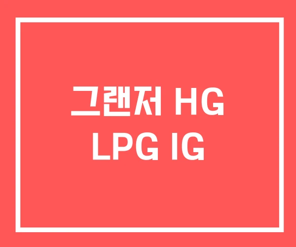 그랜저 HG LPG IG 그랜저 HG LPG IG