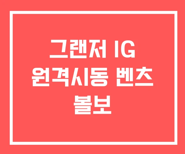 그랜저 IG 원격시동 벤츠 볼보