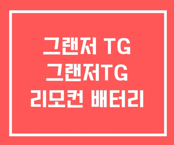 그랜저 TG 그랜저TG 리모컨 배터리