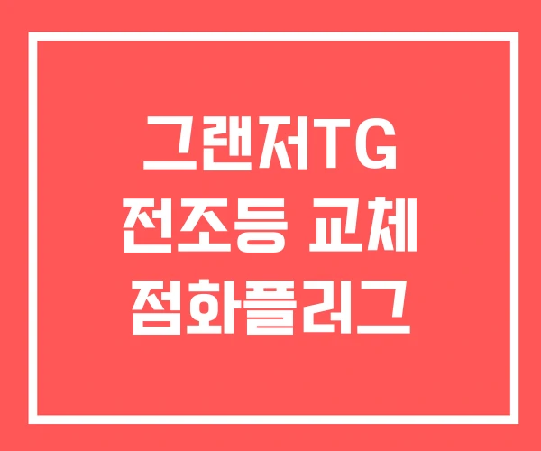 그랜저TG 전조등 교체 점화플러그