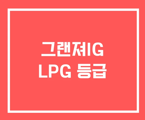 그랜져IG LPG 등급