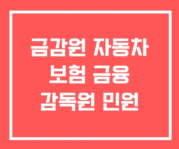 금감원 자동차 보험 금융 감독원 민원
