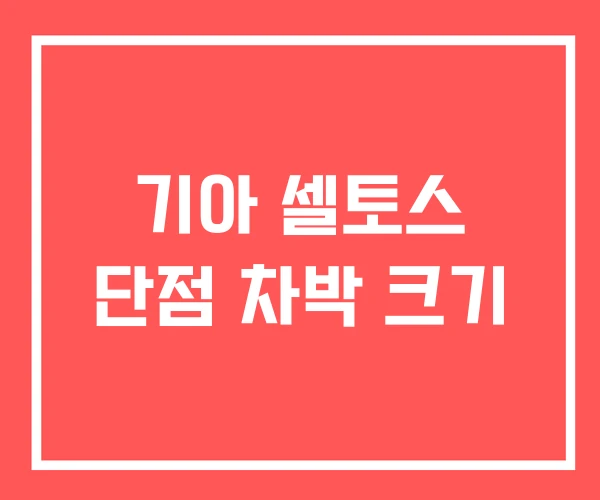 기아 셀토스 단점 차박 크기