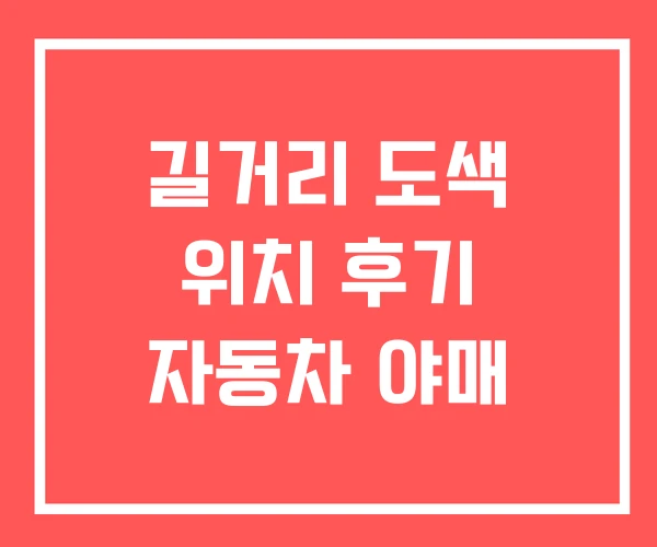 길거리 도색 위치 후기 자동차 야매