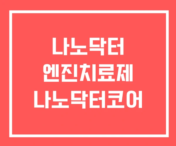 나노닥터 엔진치료제 나노닥터코어