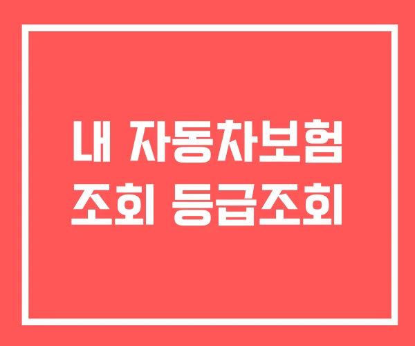 내 자동차보험 조회 등급조회