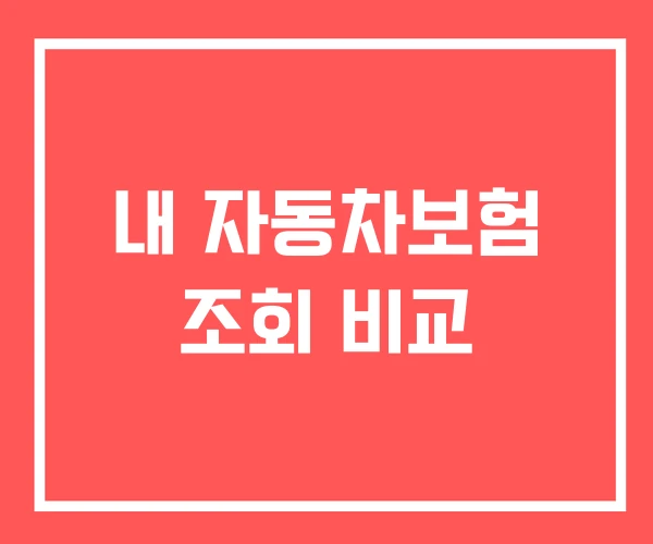 내 자동차보험 조회 비교