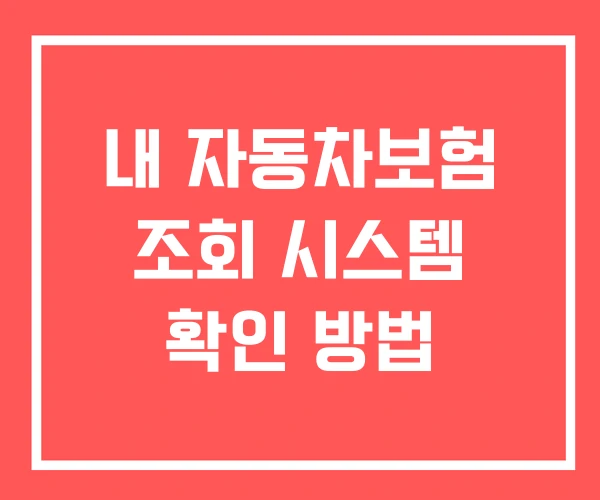 내 자동차보험 조회 시스템 확인 방법