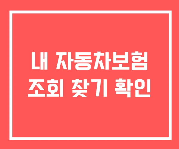 내 자동차보험 조회 찾기 확인