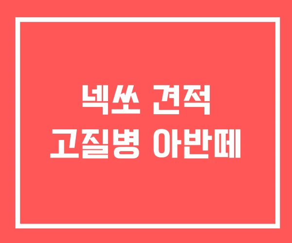 넥쏘 견적 고질병 아반떼