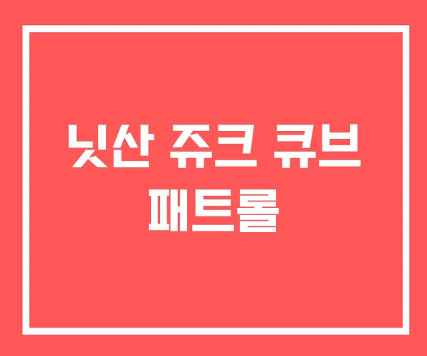 닛산 쥬크 큐브 패트롤