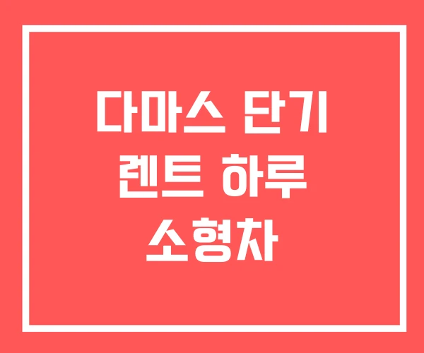 다마스 단기 렌트 하루 소형차 다마스 단기 렌트 하루 소형차
