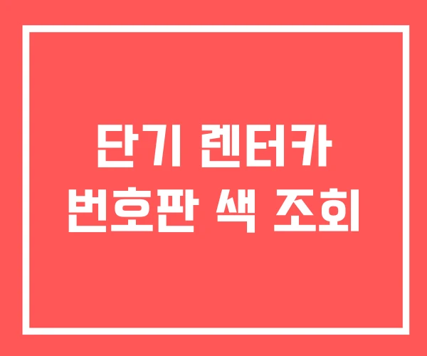 단기 렌터카 번호판 색 조회