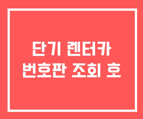 단기 렌터카 번호판 조회 호