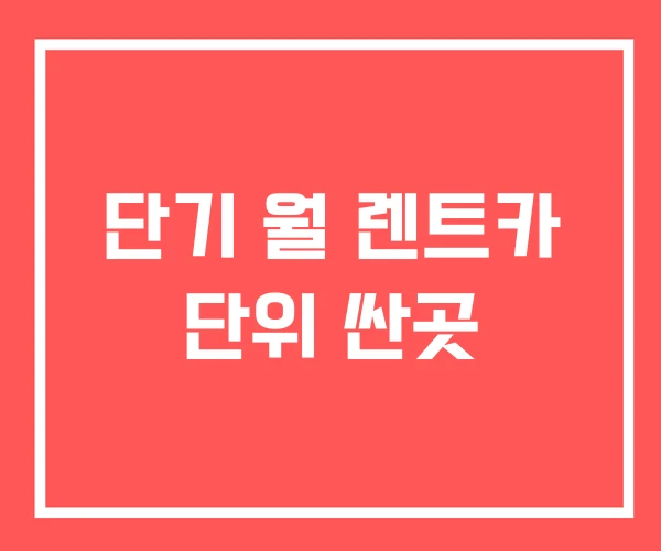 단기 월 렌트카 단위 싼곳