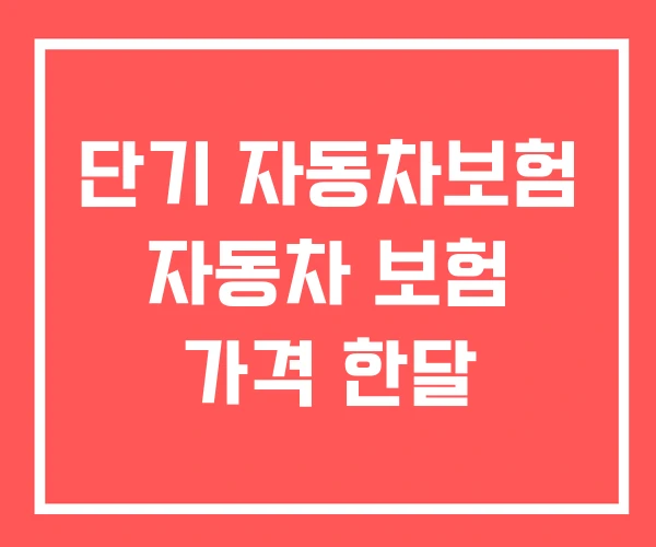 단기 자동차보험 자동차 보험 가격 한달