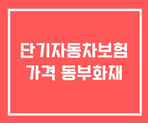 단기자동차보험 가격 동부화재