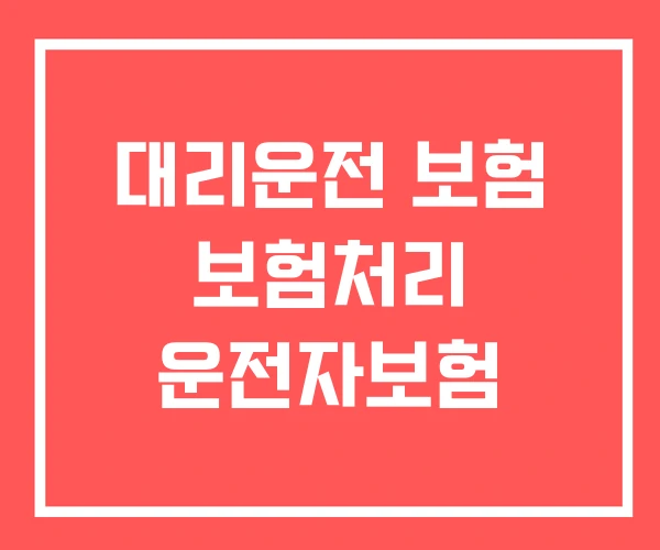 대리운전 보험 보험처리 운전자보험