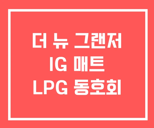 더 뉴 그랜저 IG 매트 LPG 동호회