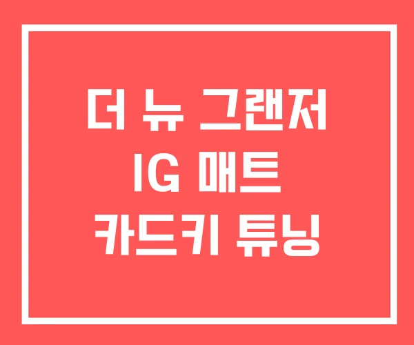더 뉴 그랜저 IG 매트 카드키 튜닝 더 뉴 그랜저 IG 매트 카드키 튜닝