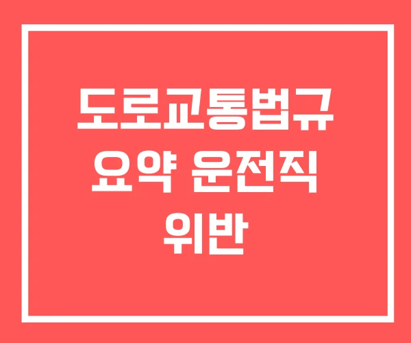 도로교통법규 요약 운전직 위반 도로교통법규 요약 운전직 위반