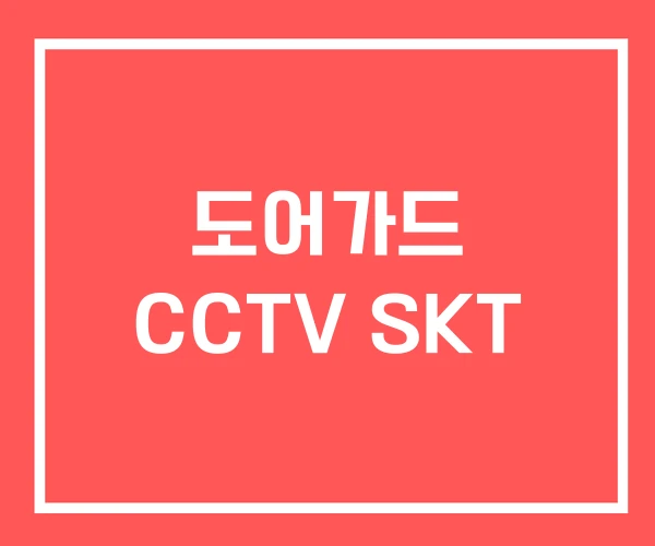 도어가드 CCTV SKT 도어가드 CCTV SKT