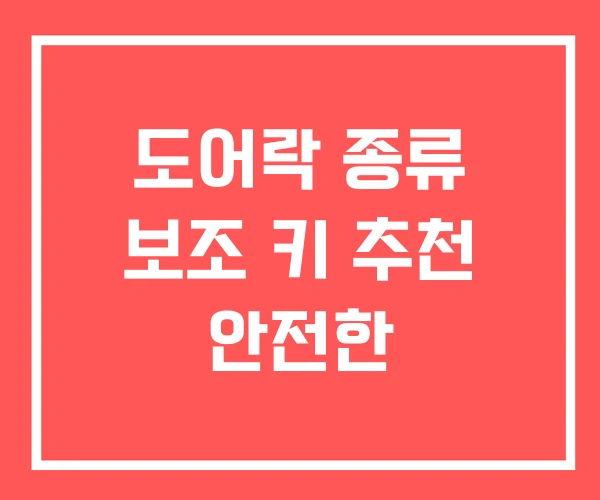 도어락 종류 보조 키 추천 안전한 도어락 종류 보조 키 추천 안전한
