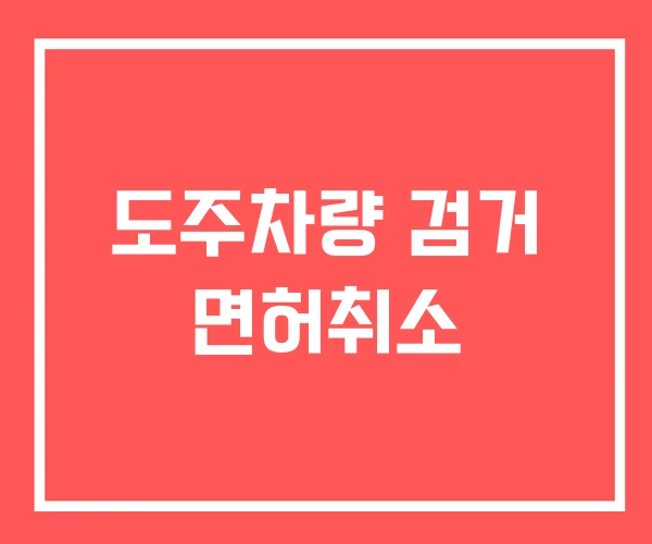 도주차량 검거 면허취소