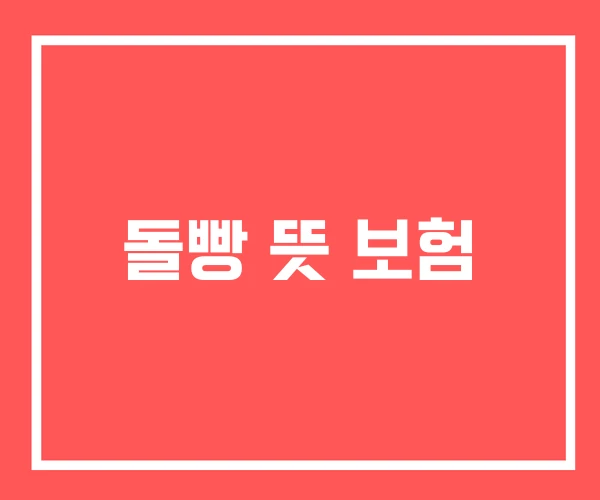 돌빵 뜻 보험 돌빵 뜻 보험