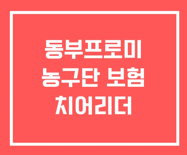 동부프로미 농구단 보험 치어리더 동부프로미 농구단 보험 치어리더