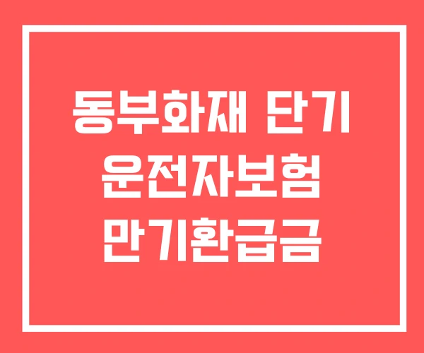 동부화재 단기 운전자보험 만기환급금 동부화재 단기 운전자보험 만기환급금