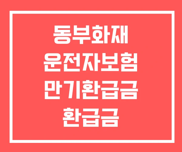 동부화재 운전자보험 만기환급금 환급금 동부화재 운전자보험 만기환급금 환급금