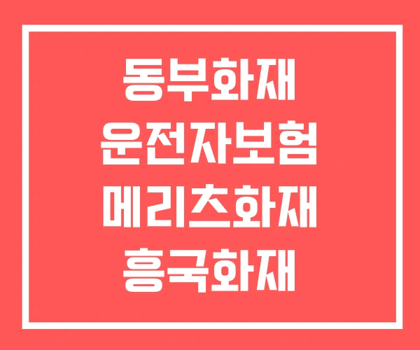 동부화재 운전자보험 메리츠화재 흥국화재 동부화재 운전자보험 메리츠화재 흥국화재