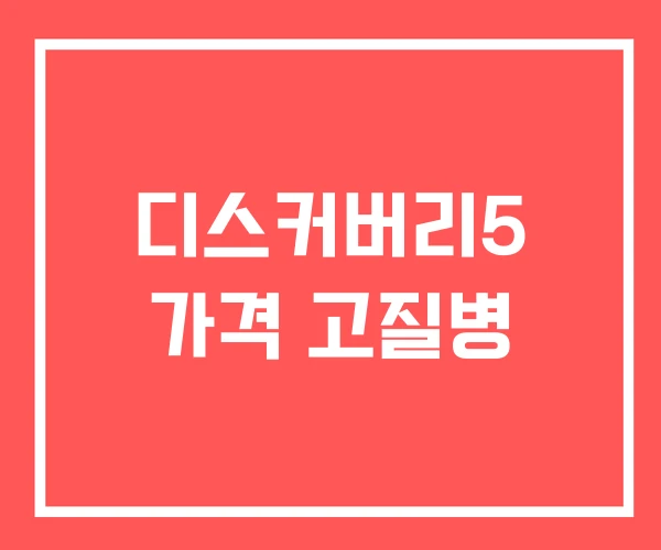 디스커버리5 가격 고질병 디스커버리5 가격 고질병