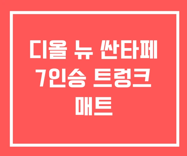 디올 뉴 싼타페 7인승 트렁크 매트