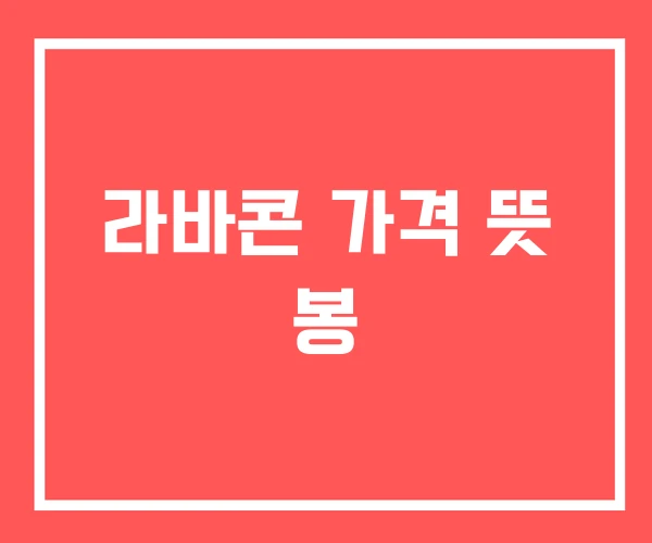 라바콘 가격 뜻 봉 라바콘 가격 뜻 봉
