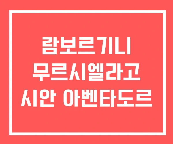 람보르기니 무르시엘라고 시안 아벤타도르 람보르기니 무르시엘라고 시안 아벤타도르