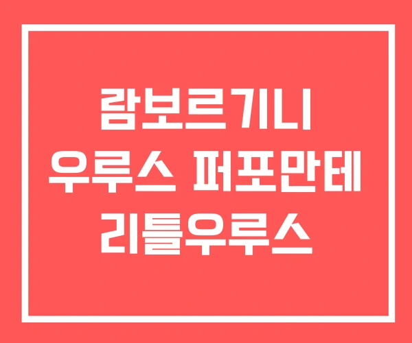 람보르기니 우루스 퍼포만테 리틀우루스 람보르기니 우루스 퍼포만테 리틀우루스