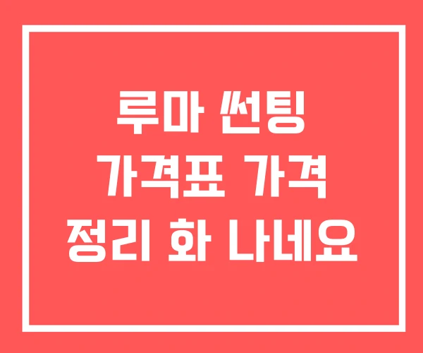 루마 썬팅 가격표 가격 정리 화 나네요
