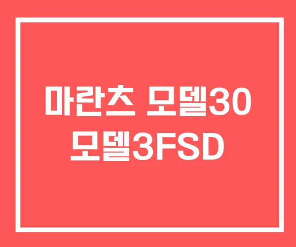 마란츠 모델30 모델3FSD