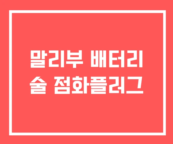 말리부 배터리 술 점화플러그 말리부 배터리 술 점화플러그