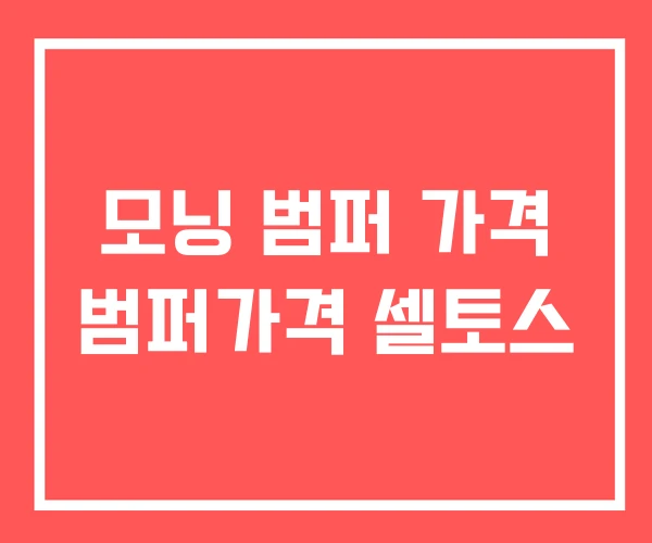 모닝 범퍼 가격 범퍼가격 셀토스