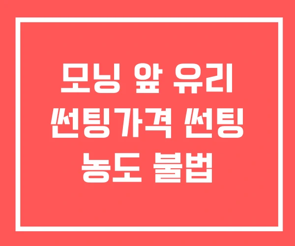모닝 앞 유리 썬팅가격 썬팅 농도 불법