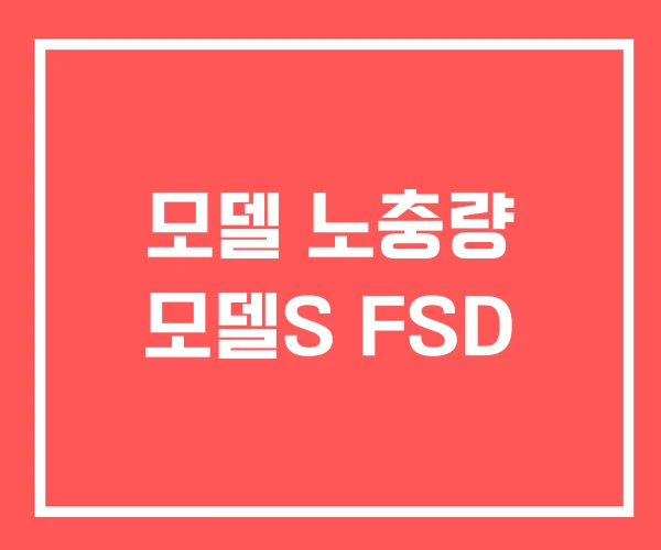 모델 노충량 모델S FSD